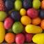candygurus.com