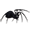 funeralrave.ru