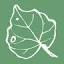 honestskincare.co.nz