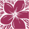 leilanis.com