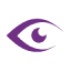 nylaservision.com