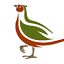 store.pheasantfordinner.com