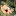 streamshunters.eu