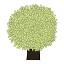 alberonascosto.it
