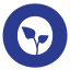 connexiohealth.com