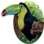 costaricatravelcr.com