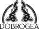 dobrogealive.ro