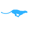 imarcom.net
