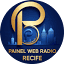 painelwebradio.com.br