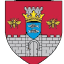 primariavaslui.ro