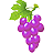 vinograd-select.com.ua