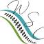 westernskieschiropractic.com