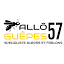 alloguepes57.fr