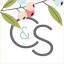 cleanandscentsible.com
