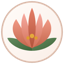 clear-aligner-visual.vercel.app