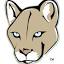 cougargulchconstructionconsulting.com