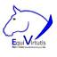 equivirtutis.com