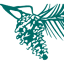 evergreenfederal.bank