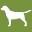 gundogs.be