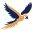junai.nl