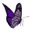 medullarythyroidcancer.org