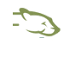 morningstarsafaris.com