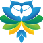 nsts.org