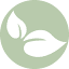 sarahsvegankitchen.com