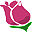 vibrantguide.com