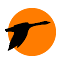 aquafishing.net