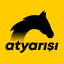 atyarisi.com