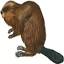 beavercreekbulletin.org