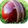 cricketexperts.in