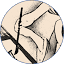 danceofthebrushes.com