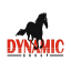 dynamic.ru