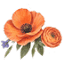 floweremporiumok.com