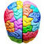 medtempus.com