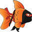 ninjagf.com