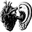 nosound.net