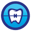 orthodonticexprts.com