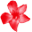 rednerium.com