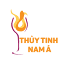 thuytinhnama.com