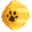 vethive.com