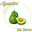 aguacatesdelterme.com