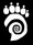 ammonite.com