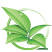 cosmiclandscaping.com.au