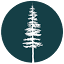 mybellinghamnow.com
