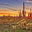 saguaroacmen.com