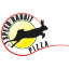 speedrabbitpizza.com