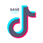 tiktoksaver.com